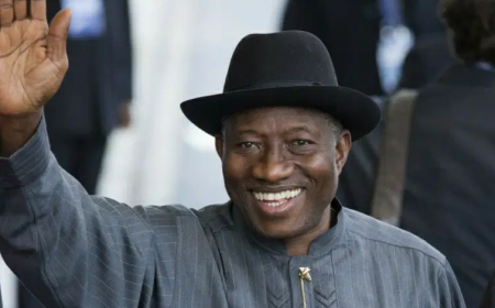 Jonathan most qualified, experienced to rescue Nigeria — Coalition