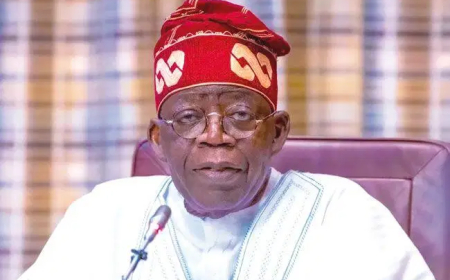 NOUN is answer to Nigeria’s university admission crisis – Tinubu