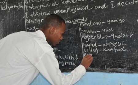 FCT teachers begin indefinite strike Monday