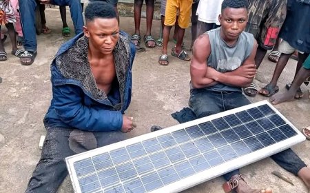 Local hunter foils attempt to steal solar streetlights in Bayelsa