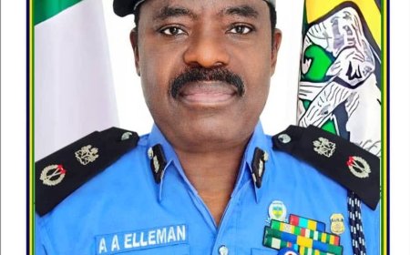 Police foil armed robbery, arrest woman with cannabis