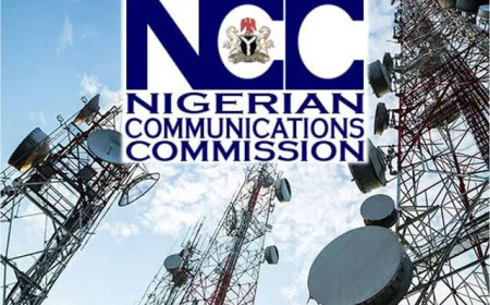 NCC, CBN launch portal to track fraudulent phone lines