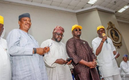 Ogun East LG Chairmen Cite Infrastructure Gains, Endorse Abiodun For Senate