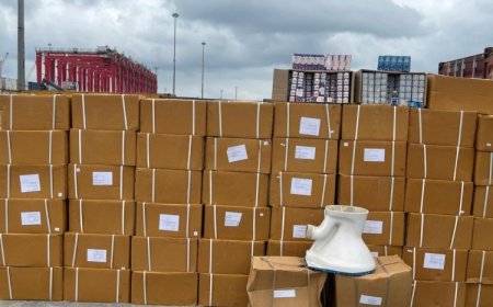 Court grants NDLEA interim forfeiture of 17 drug-laden containers