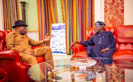 Tinubu receives Jonathan at Aso Rock Villa