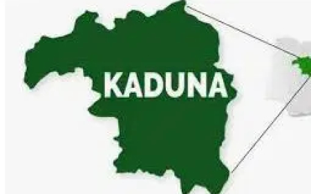 Five killed, three injured as gunmen attack forest guards’ office in Kaduna community