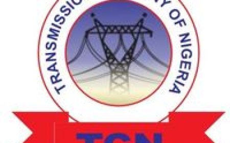 TCN strengthens national grid with new transmission lines