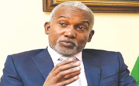 My ambition won’t divide Bauchi APC – Tuggar