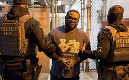 Nigerian man arrested, faces deportation from US over ‘sex crimes’