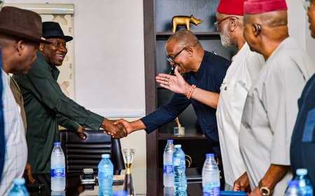 2027: ‘Why Obi met Jonathan behind closed doors’