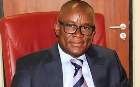 FG ends raw shea export, pushes value addition