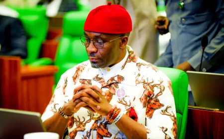 Petition seeking withdrawal of Deputy Speaker’s law school certificate dead on arrival – Legal Team