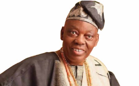 Many of my children don’t want to follow me — Razaq Okoya