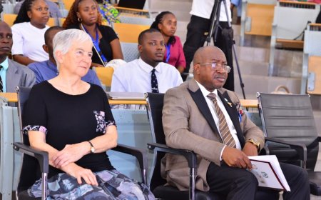 Health experts urge urgent action on sickle cell in Nigeria, Africa