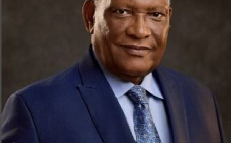 Tinubu removes NMDPRA boss, nominates Rabiu Umar as replacement