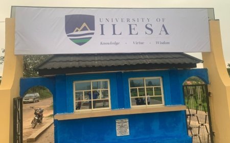 UNILESA to tackle open grazing with NSCDC agro ranger officials, says VC