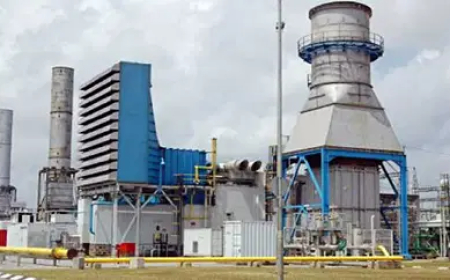 Egbin Power Plant shuts down after contractor dies during underwater repairs