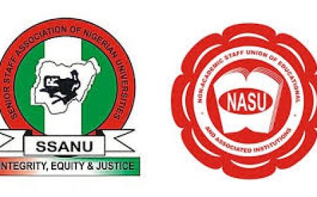 NASU, SSANU begin indefinite strike Friday