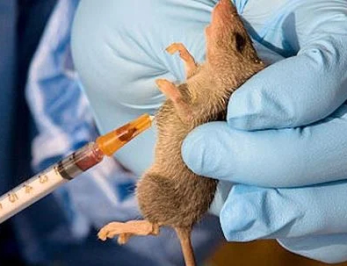 Lassa fever kills two in Katsina