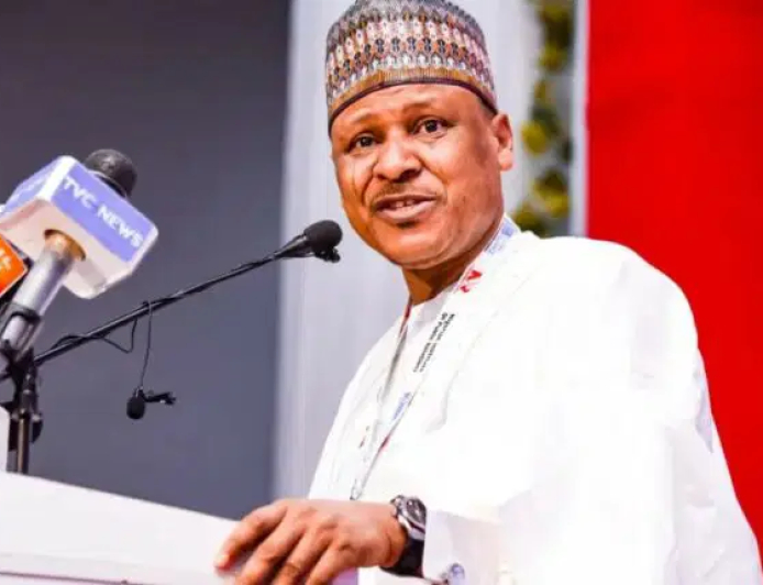 FG pushes back on US advisory, insists Nigeria safe