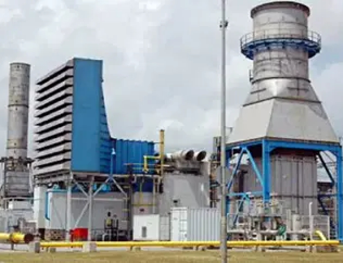 Egbin Power Plant shuts down after contractor dies during underwater repairs