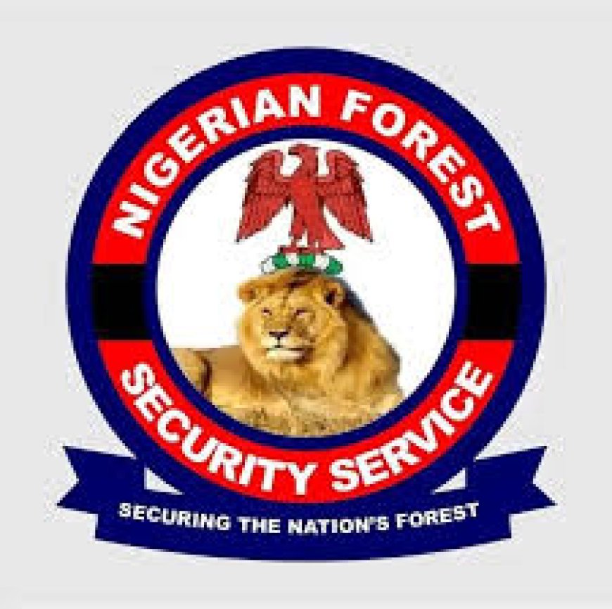 Nigerian forest security service disclaims N200k recruitment fees as rogue activity