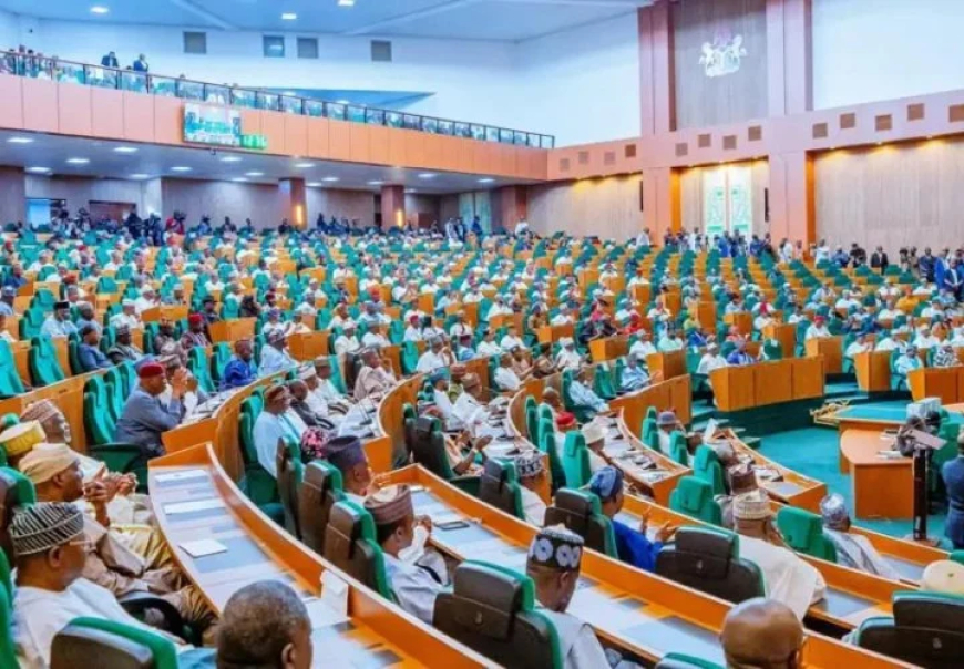 Reps minority whip tasks politicians on welfare, leadership