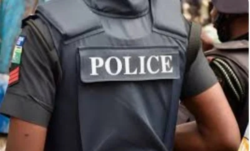 Police detain officers over harassment in Lagos