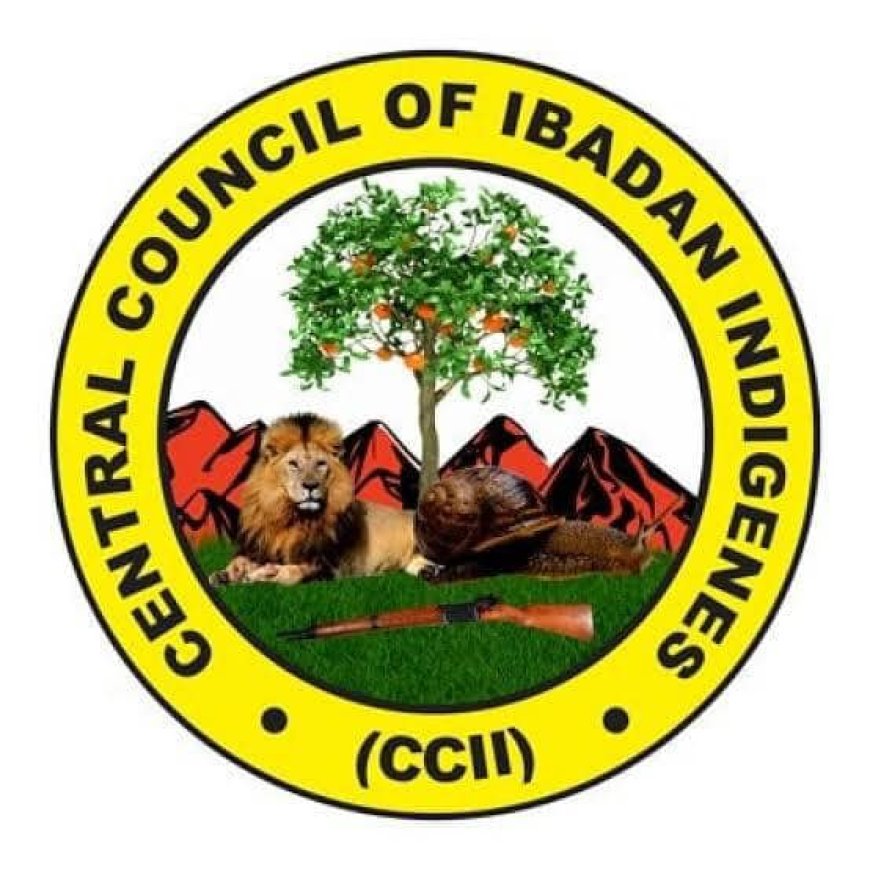 Ibadan has potential to become Nigeria’s economic hub – CCII