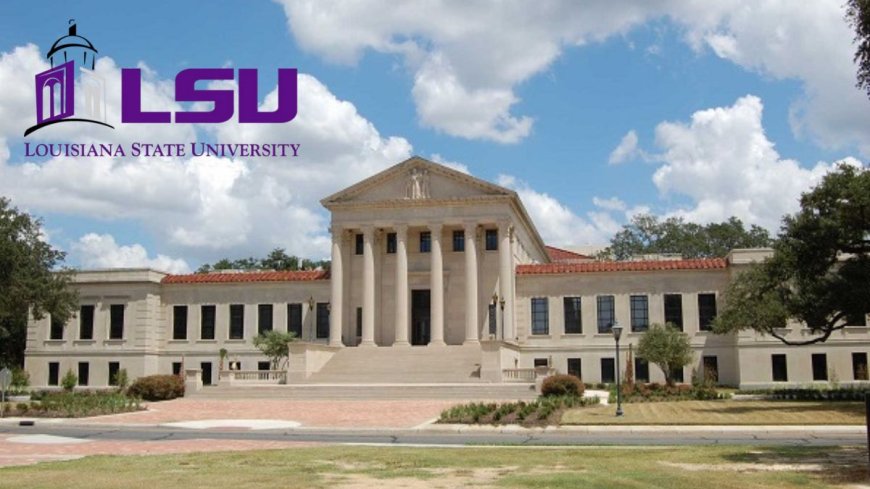 Louisiana State University Scholarships in USA 2026 | Fully Funded