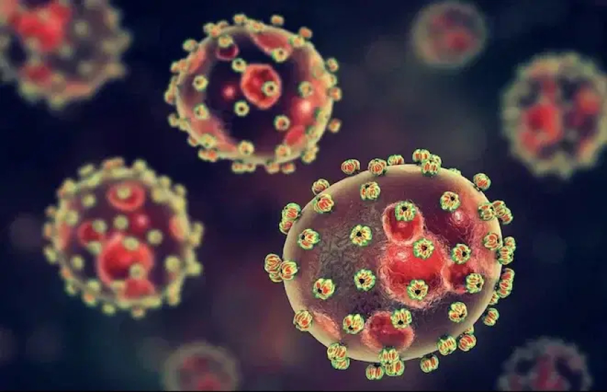 Lassa fever surge: Lagos raises alarm, launches statewide campaign