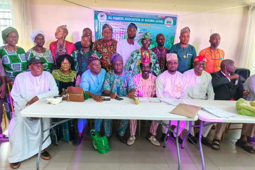 Ekiti farmers elect new executives, end three-year crisis