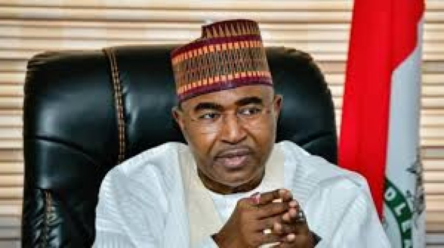 Over 60% of arrested drug offenders are youths — NDLEA chairman