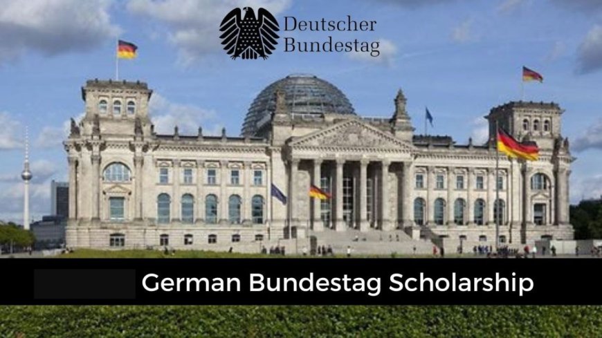 2027 German Bundestag Scholarship For Africans | How To Apply