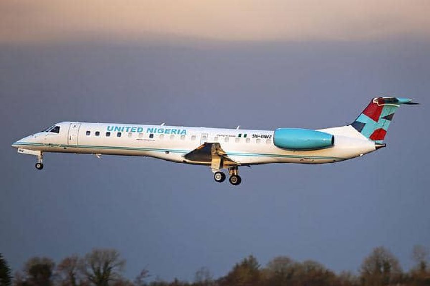 United Nigeria Airlines records fifth bird strike, grounds aircraft