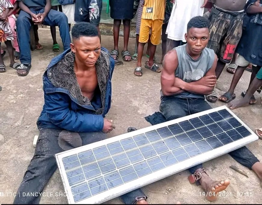 Local hunter foils attempt to steal solar streetlights in Bayelsa