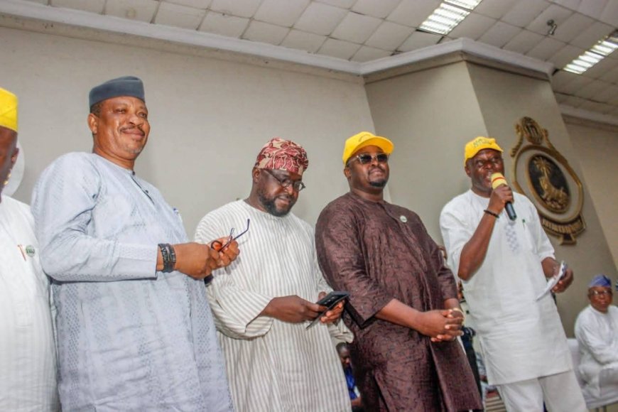 Ogun East LG Chairmen Cite Infrastructure Gains, Endorse Abiodun For Senate