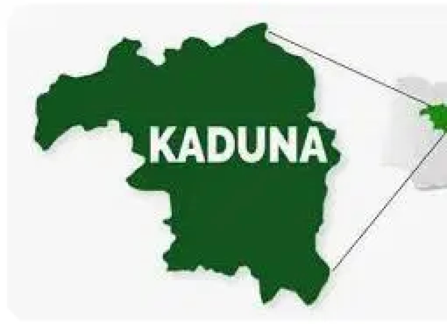 Five killed, three injured as gunmen attack forest guards’ office in Kaduna community