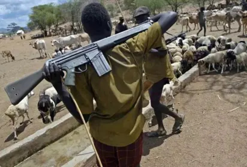 Armed herders kill seven in Benue attack