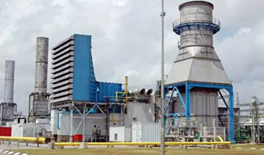 Egbin Power Plant shuts down after contractor dies during underwater repairs