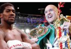 Pop star declines to perform at Joshua, Fury fight