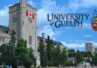 University of Guelph Scholarship in Canada 2026 | Fully Funded