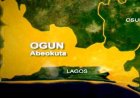 Ogun APC senatorial aspirants reject Salisu’s endorsement, demand primary