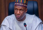 Wali wins APC governorship ticket in Yobe