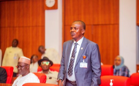 Borno senator drops gov bid, backs Zulum’s anointed candidate