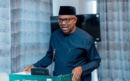 Peter Obi seeks wage review, economic reforms