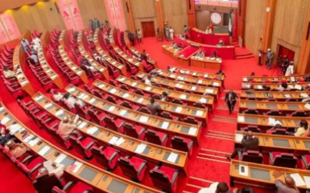 Senate moves to cut rice imports, boost food security
