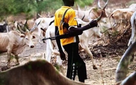 Suspected herders kill four in fresh Benue community attack
