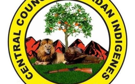 Ibadan indigenes warn politicians against disrespecting Olubadan