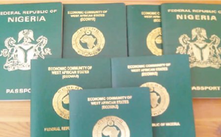 Nigerian passport climbs global ranking, slips in visa-free access